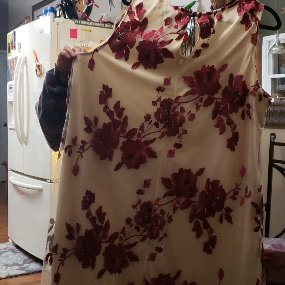 Dress - Picture 2 of 3